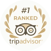Altezza Travel、Tripadvisor「トラベラーズチョイス 2026」受賞