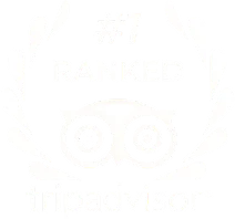 Tripadvisorで第1位にランクインしたAltezza Travel