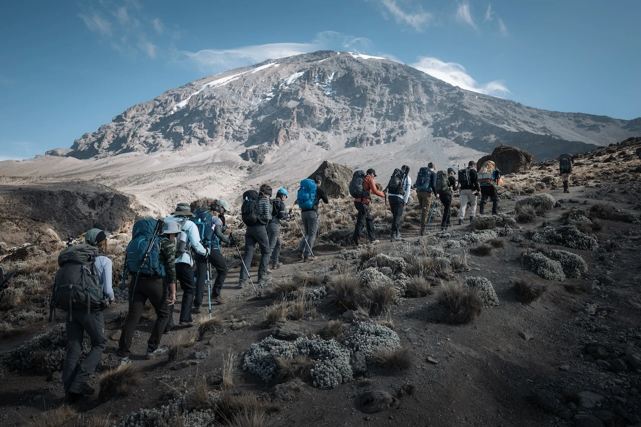 キリマンジャロの共同登山に参加するAltezzaの登山者