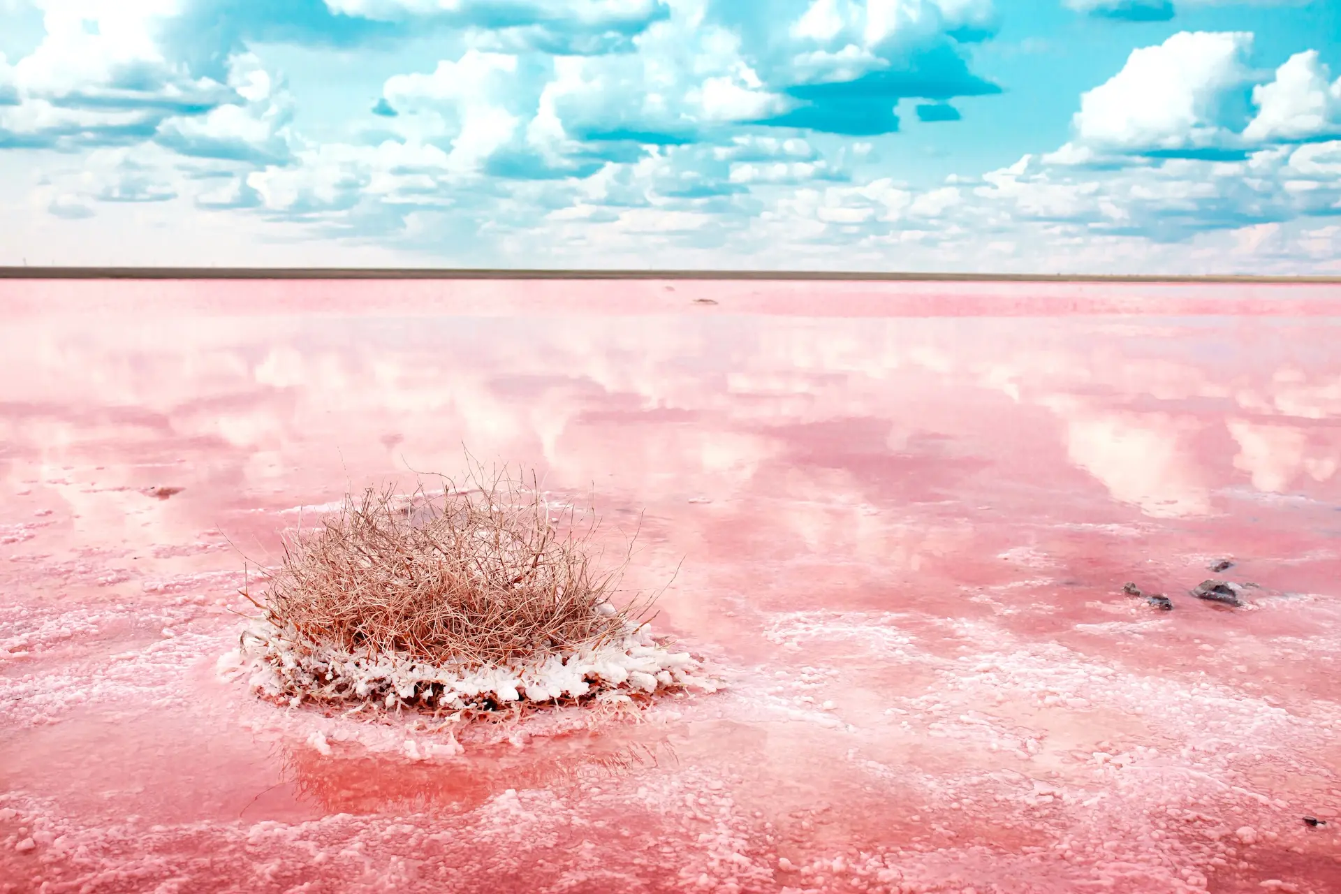乾季には湖が赤く染まり、塩に覆われます。写真：Vera Larina / Shutterstock