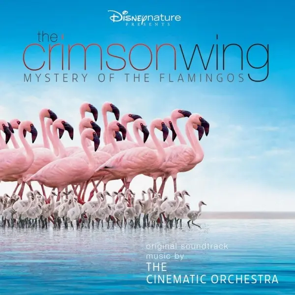 ドキュメンタリー『The Crimson Wing: Mystery of the Flamingos』のカバー
