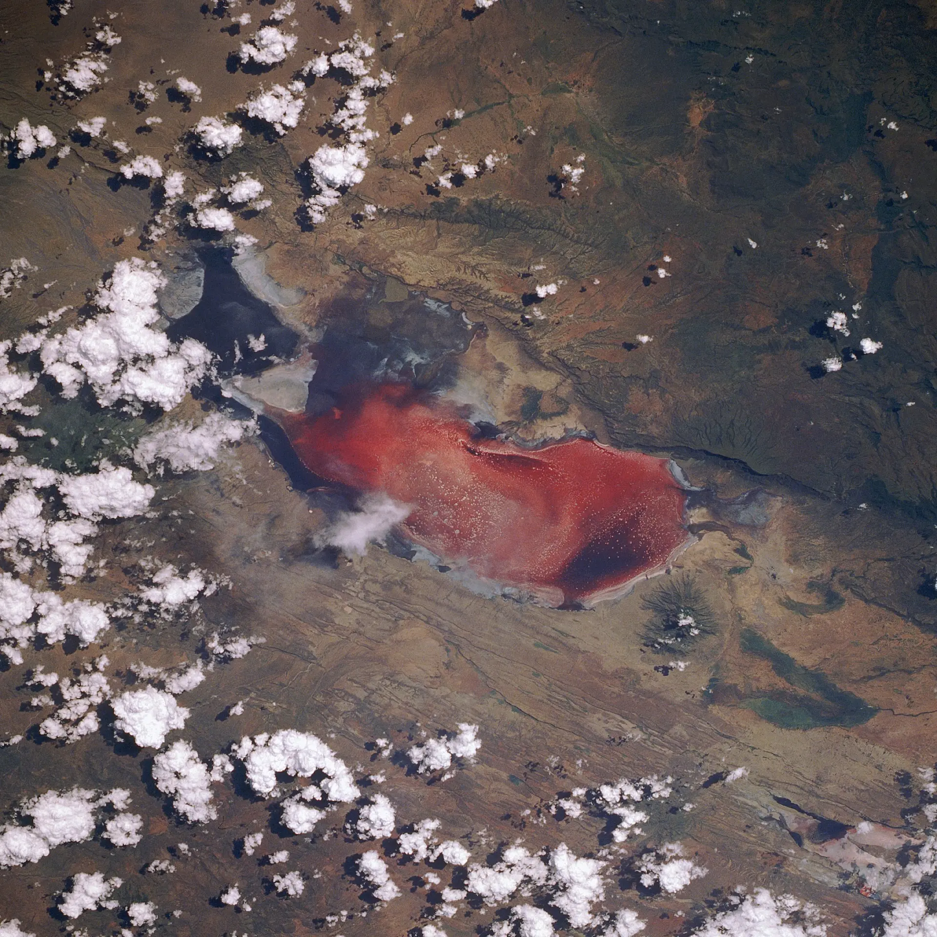「死の赤い湖」とも呼ばれるナトロン湖。スペースシャトルDiscoveryのSTS-29ミッションから撮影。写真：NASA