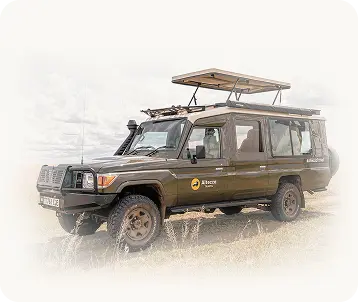 Altezza Travelのサファリ車両 Altezza Travelのサファリ車両