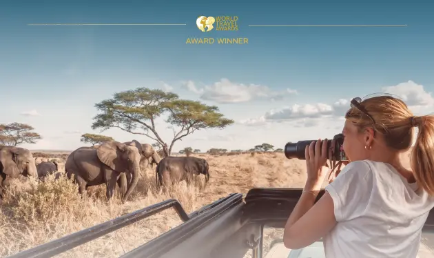 サファリでゾウを観察する旅行者 サファリでゾウを観察する旅行者