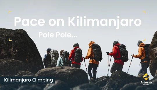 キリマンジャロ登山で自分に合ったペースを見つける | Altezza Travel