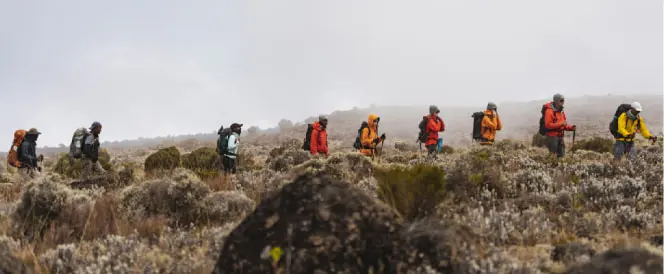 ノーザンサーキットルートとクレーターキャンプ - 7日目 - Trekking From Buffalo Camp to 3rd Cave Camp