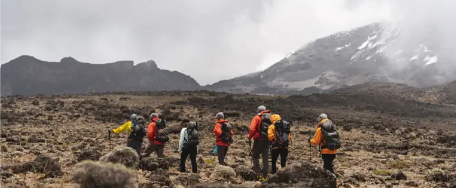 ノーザンサーキットルートとクレーターキャンプ - 5日目 - Trekking From Shira 2 Camp to The Lava Tower and Descent to Moir Hut