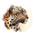 ヒョウ