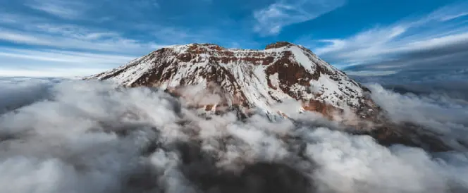 ノーザンサーキットルート - 8日目 - Ascent to Uhuru Peak and Descent to Millennium Camp