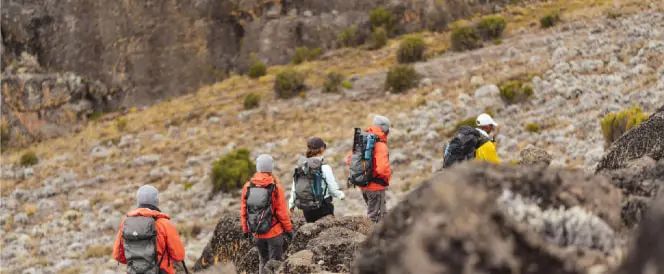 ロンガイルート - 5日目 - Trekking from Mawenzi Tarn Camp to Kibo Hut Camp