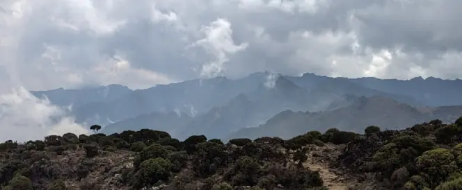 ウンブウェルート - 3日目 - Trekking from Umbwe Camp to Barranco Camp